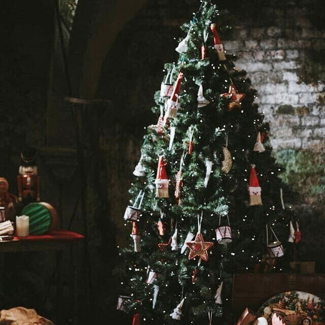 Sapin