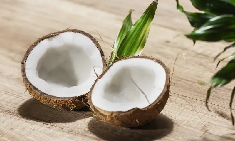 Comment remplacer la noix de coco dans vos recettes ?